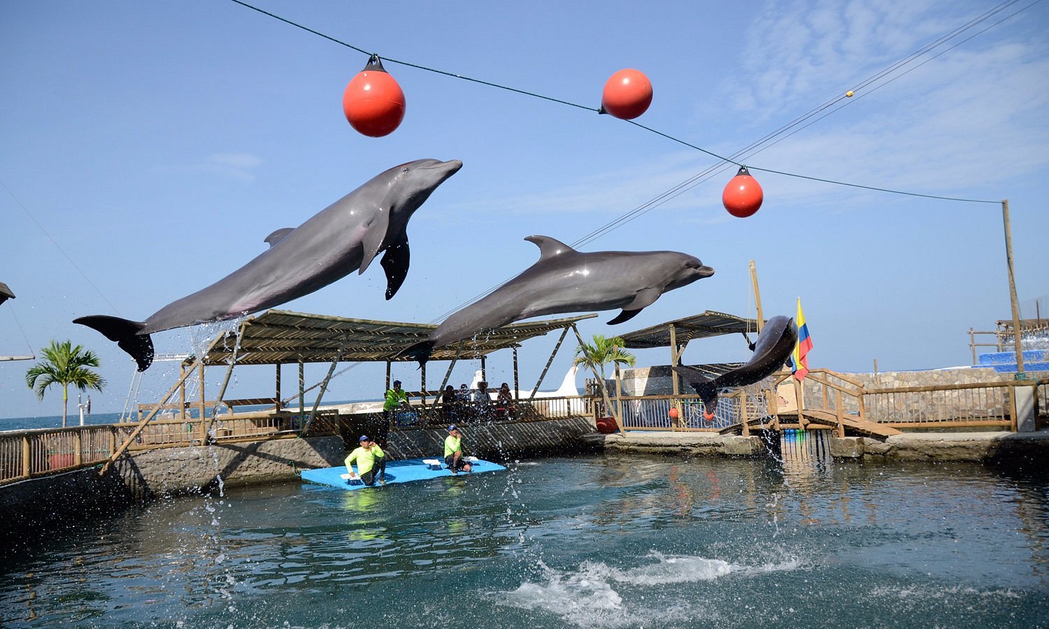 Tour Acuario - Playa Blanca