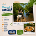Tour a Caballo y Manglar Experience en La Boquilla