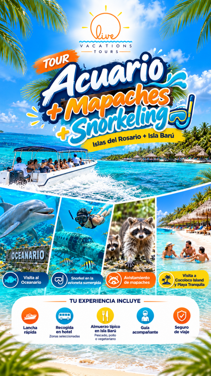 Tour Acuario + Mapaches + Snorkeling - Live Vacations Tours