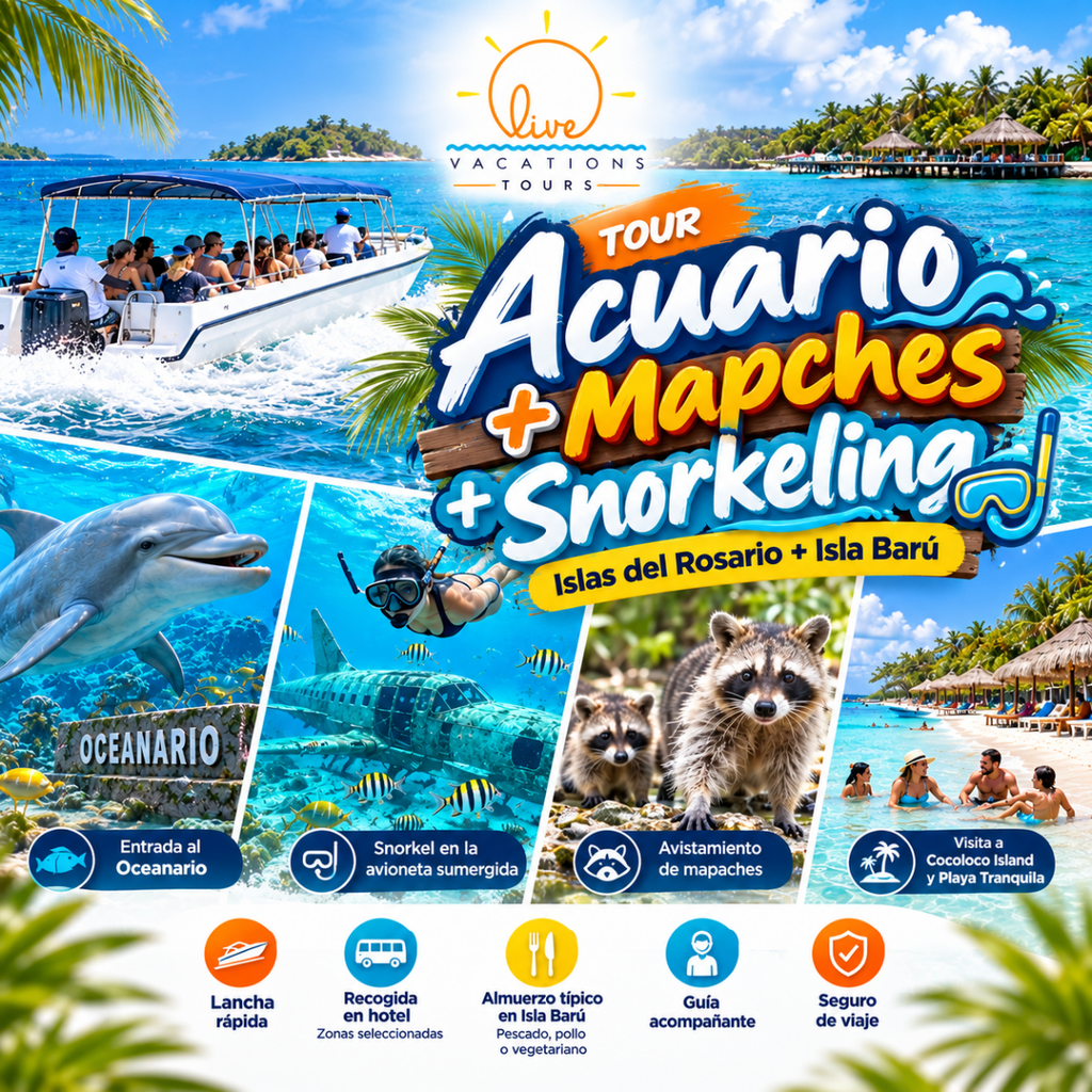 Tour Acuario + Mapaches + Snorkeling - Live Vacations Tours
