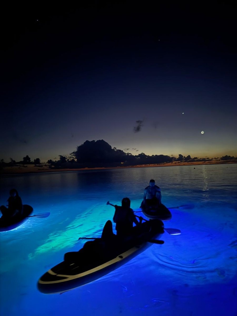 Tour Paddleboard Nocturno en San Andrés - Live Vacations Tours