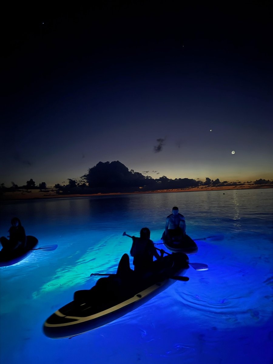 Tour Paddleboard Nocturno en San Andrés - Live Vacations Tours