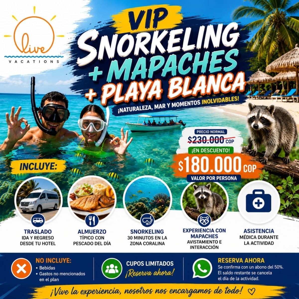 Tour Playa Blanca Vip Snorkeling + Mapaches - Live Vacations Tours