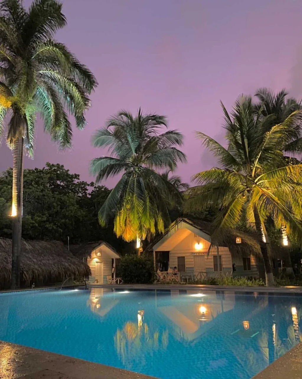 Fenix Beach - Isla de Tierra Bomba |Relájate, disfruta y desconéctate a solo 15 minutos de Cartagena - Live Vacations Tours