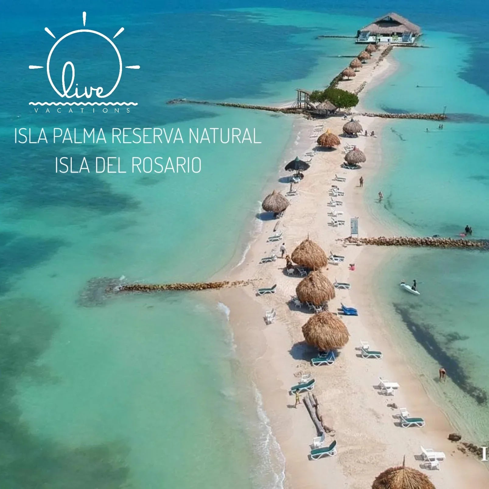 Isla Palma - Reserva Natural | Vive un día inolvidable en una isla exclusiva del Caribe colombiano. - Live Vacations Tours
