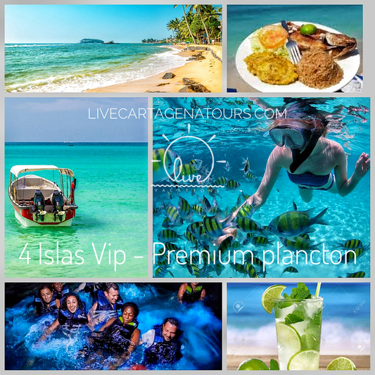 4 Islas vip - premium plancton