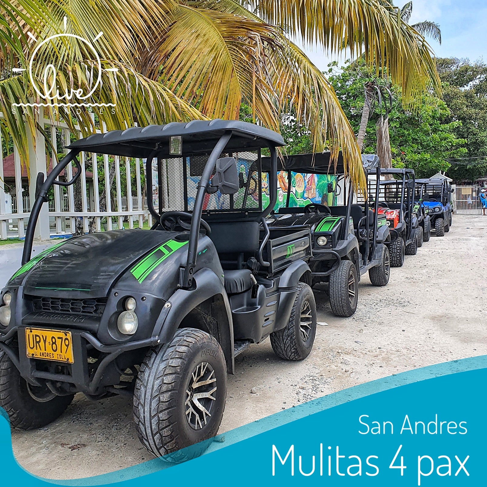Mulita -San andres | Aventura sobre ruedas en San Andrés  Explora la isla a tu ritmo con libertad, estilo y brisa marina