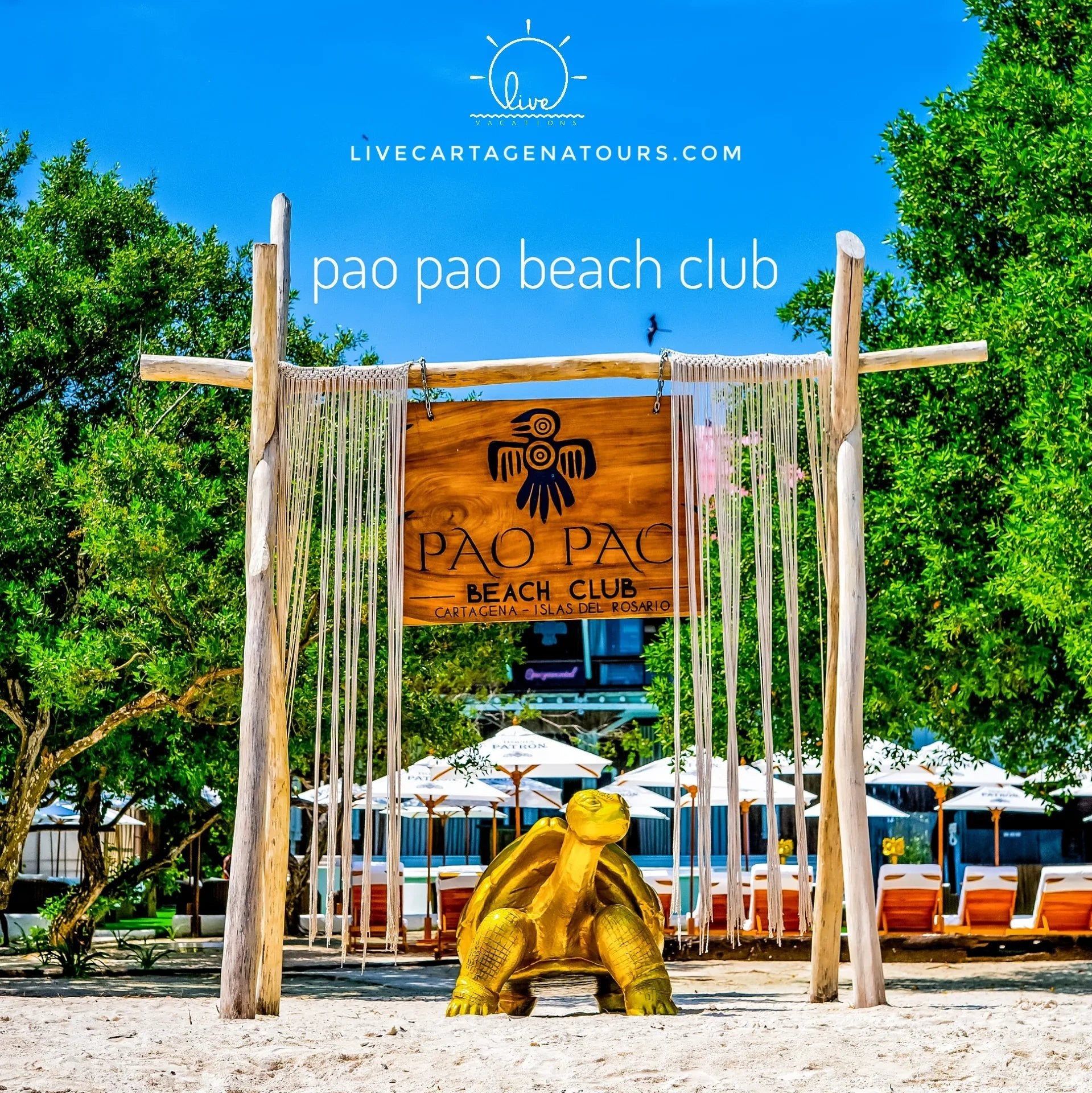 Pao Pao Beach Club - Isla del Rosario | Relájate, saborea y desconéctate en un exclusivo entorno solo para adultos.