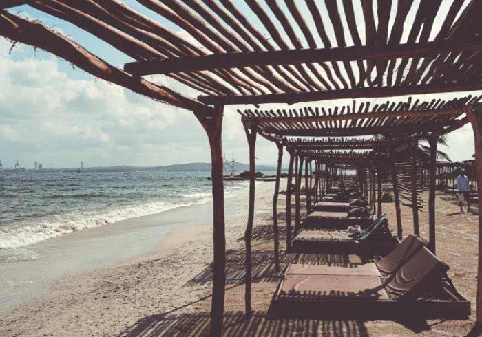 Fenix Beach - Isla de Tierra Bomba |Relájate, disfruta y desconéctate a solo 15 minutos de Cartagena - Live Vacations Tours