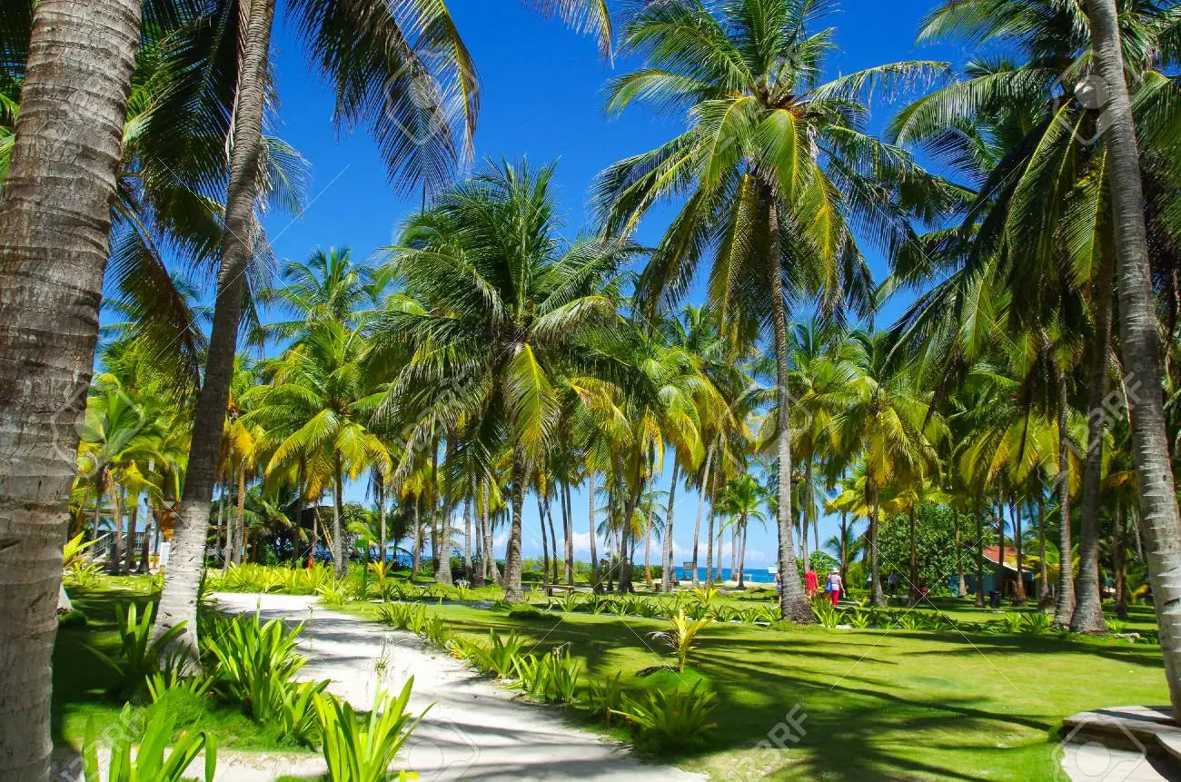 Aquarium and Rocky Cay Tour – San Andrés: Ocean walks, snorkeling, and unforgettable natural landscapes