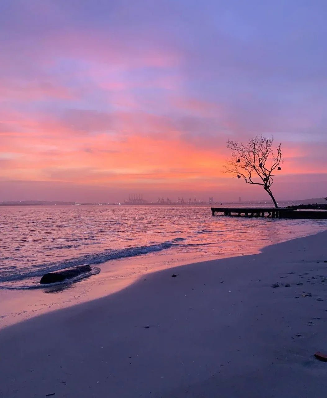 Fenix Beach - Isla de Tierra Bomba |Relájate, disfruta y desconéctate a solo 15 minutos de Cartagena - Live Vacations Tours