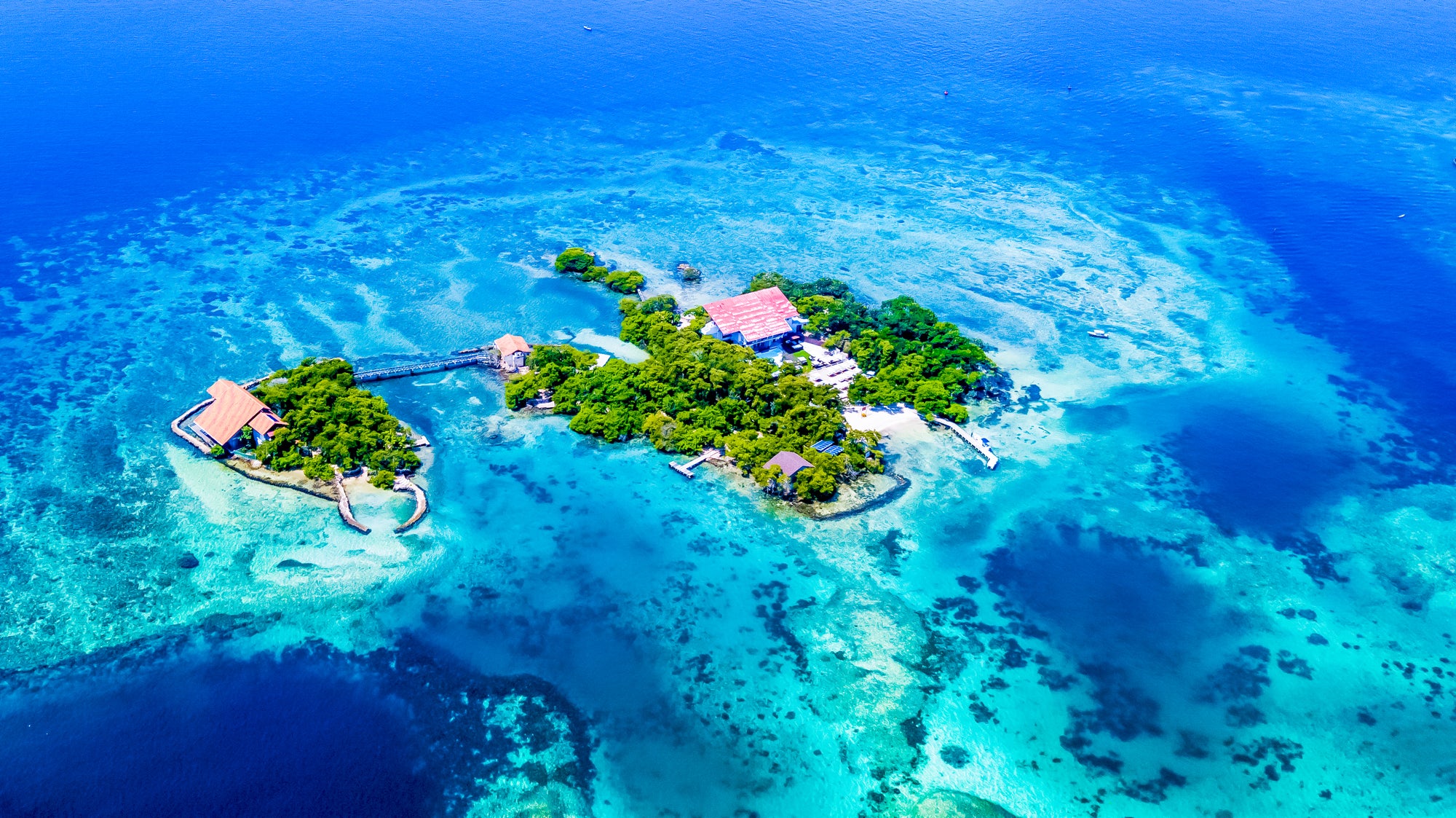 Pao Pao Beach Club - Isla del Rosario | Relax, savor, and unwind in an exclusive, adults-only setting.