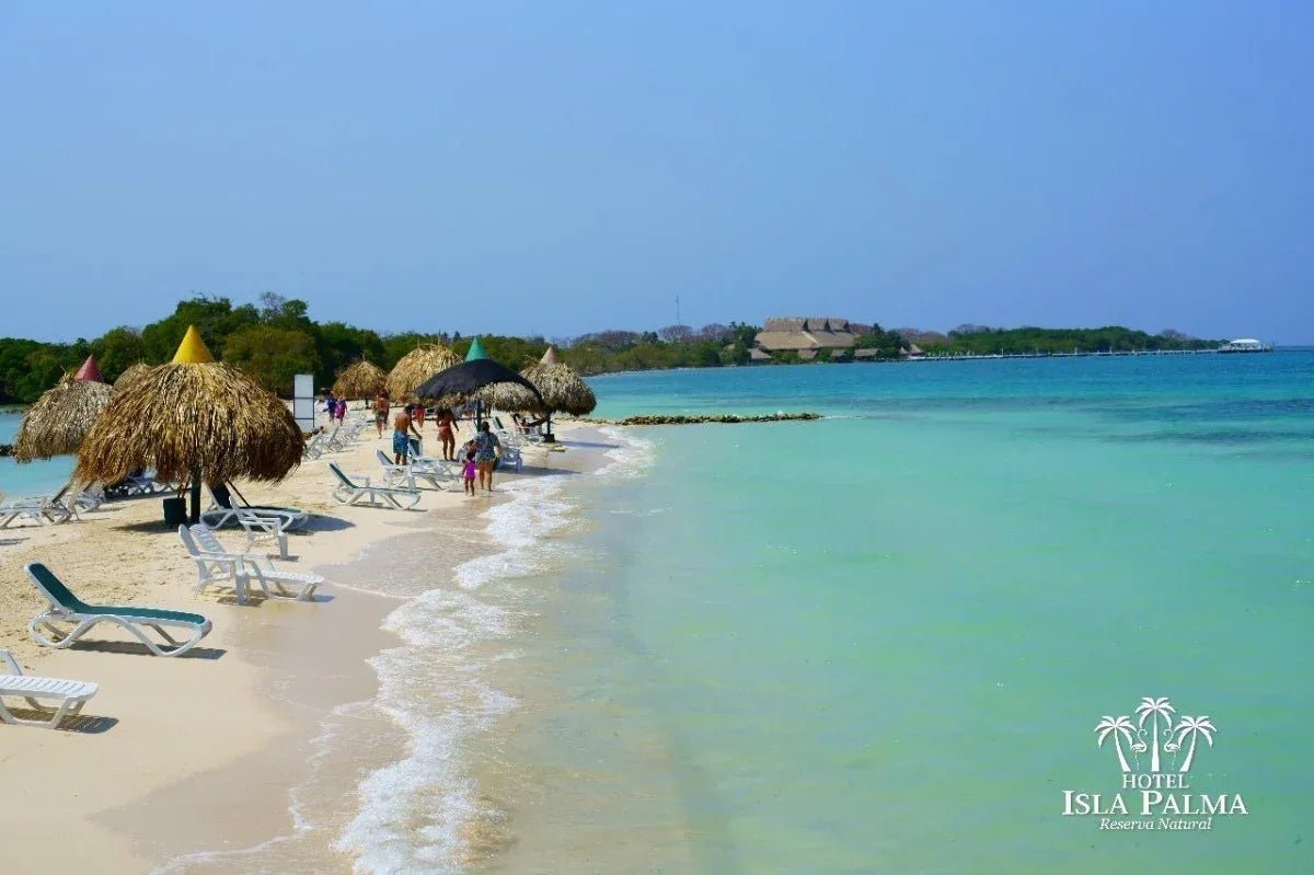 Isla Palma - Reserva Natural | Vive un día inolvidable en una isla exclusiva del Caribe colombiano. - Live Vacations Tours