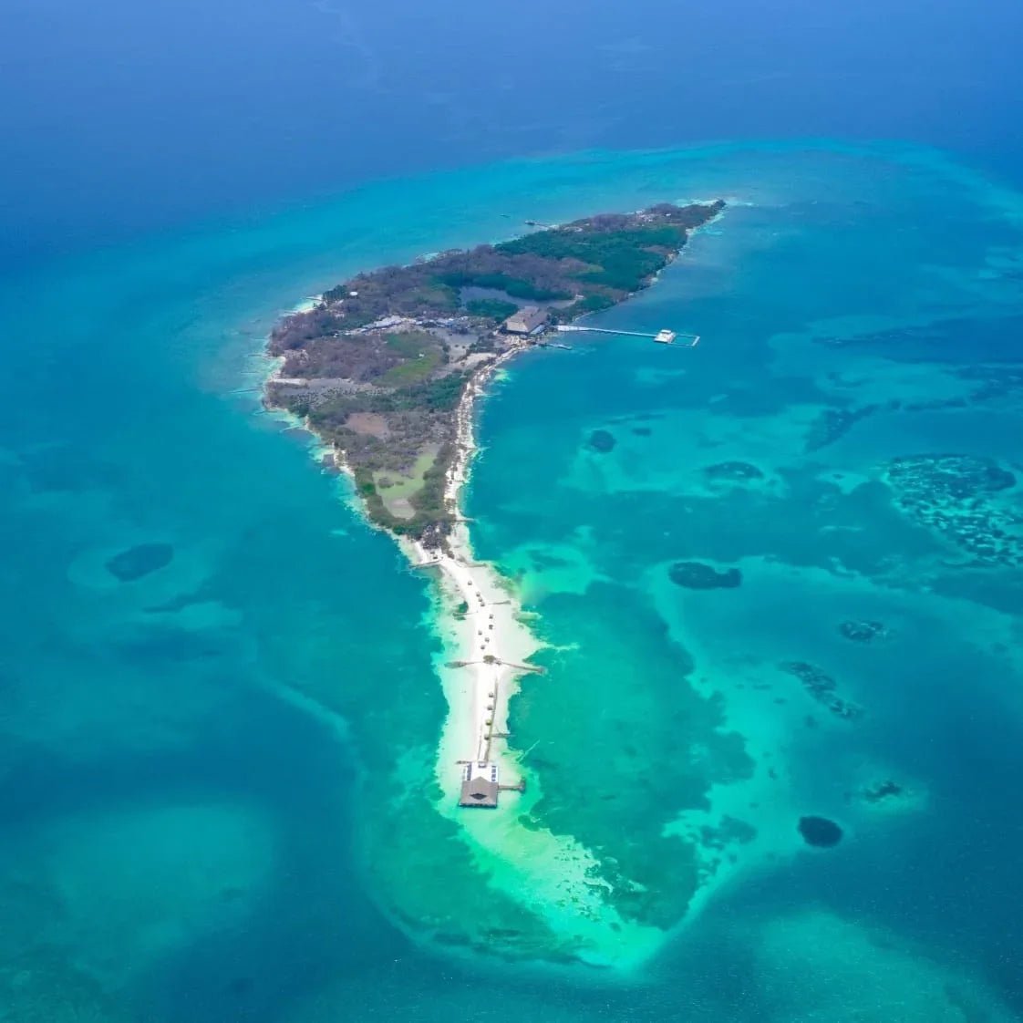 Isla Palma - Reserva Natural | Vive un día inolvidable en una isla exclusiva del Caribe colombiano. - Live Vacations Tours