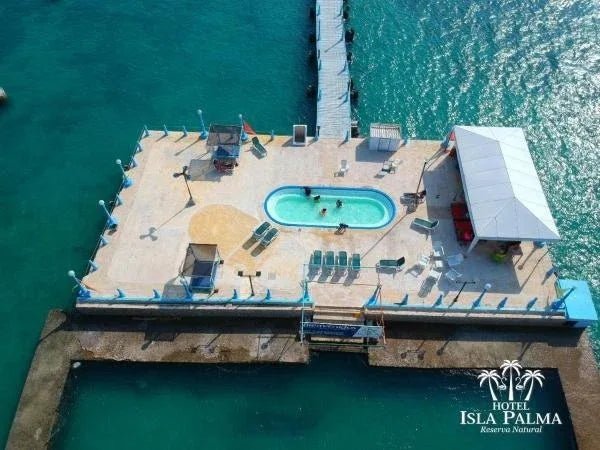 Isla Palma - Reserva Natural | Vive un día inolvidable en una isla exclusiva del Caribe colombiano. - Live Vacations Tours