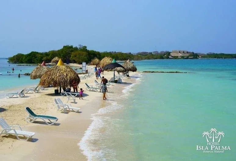 Isla Palma - Reserva Natural | Vive un día inolvidable en una isla exclusiva del Caribe colombiano. - Live Vacations Tours