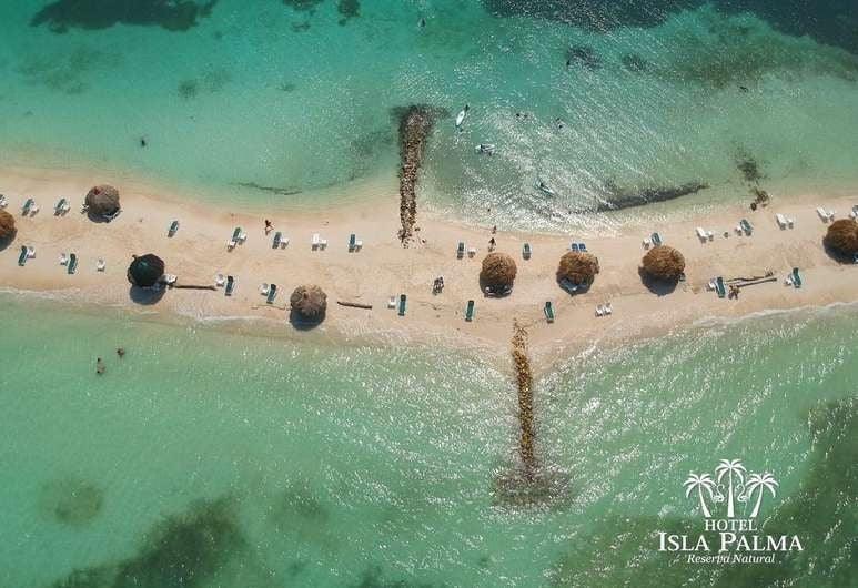 Isla Palma - Reserva Natural | Vive un día inolvidable en una isla exclusiva del Caribe colombiano. - Live Vacations Tours