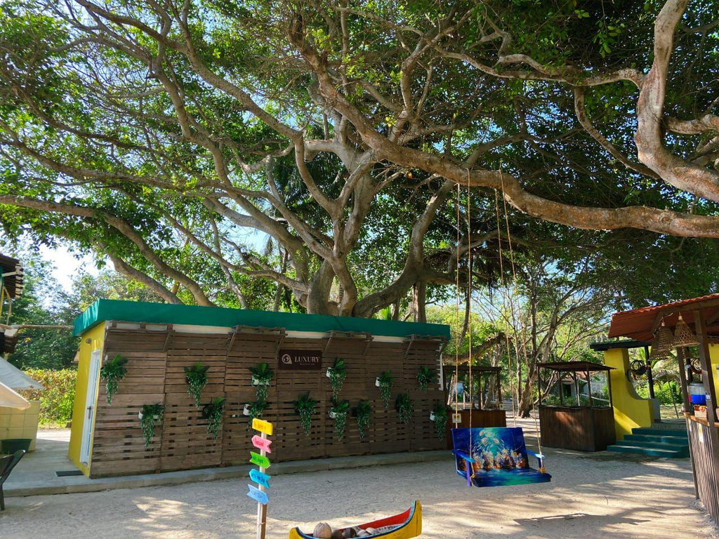 Luxury beach club - Arena Beach- isla del rosario | Relájate bajo el sol con barra libre, playa y sabor caribeño en un entorno exclusivo