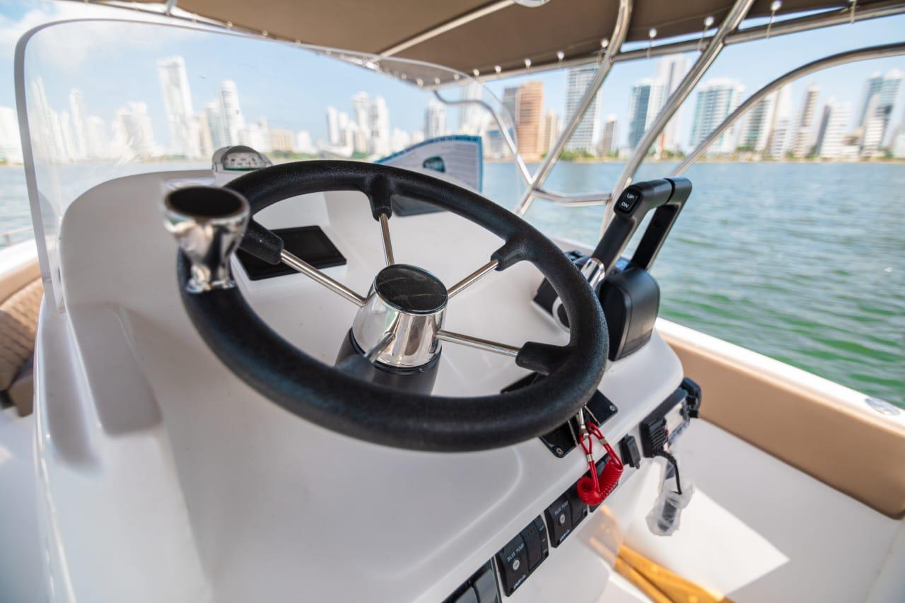 Lancha Deportiva para 10 pax - 29ft