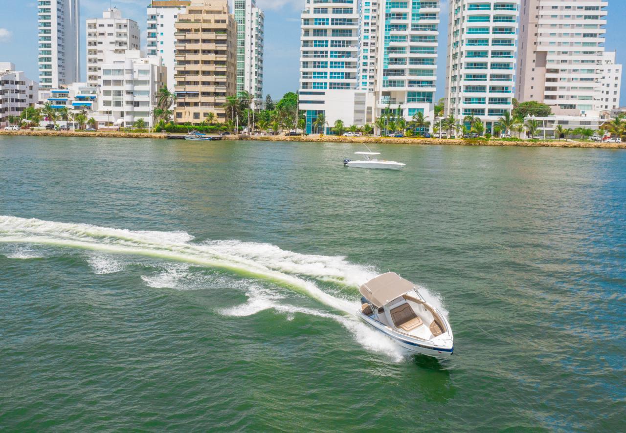 Lancha Deportiva para 10 pax - 29ft