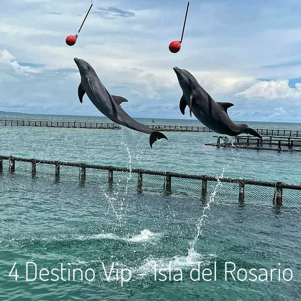 4 VIP Islands - Premium Plankton | Luxury, nature, and adventure in the heart of the Caribbean