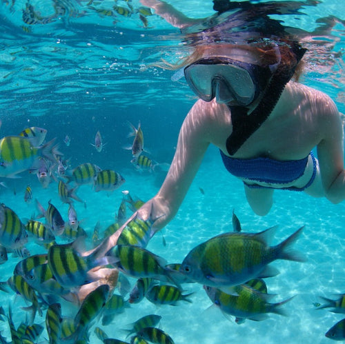 4 VIP Islands - Premium Plankton | Luxury, nature, and adventure in the heart of the Caribbean