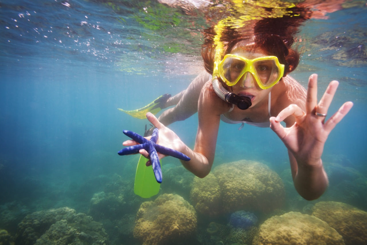 4 VIP Islands - Premium Plankton | Luxury, nature, and adventure in the heart of the Caribbean