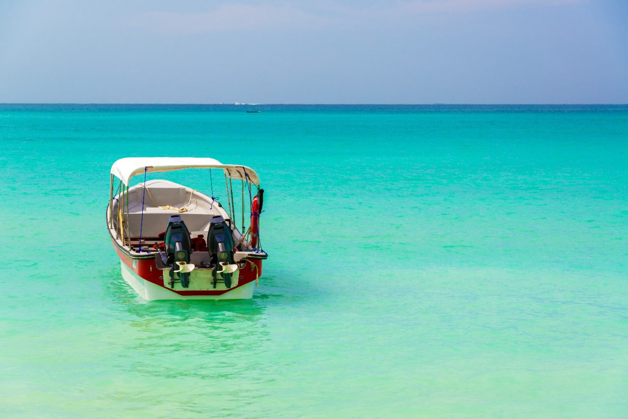 4 VIP Islands - Premium Plankton | Luxury, nature, and adventure in the heart of the Caribbean
