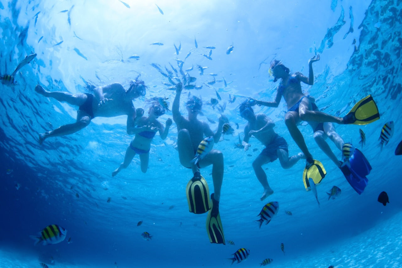 4 VIP Islands - Premium Plankton | Luxury, nature, and adventure in the heart of the Caribbean