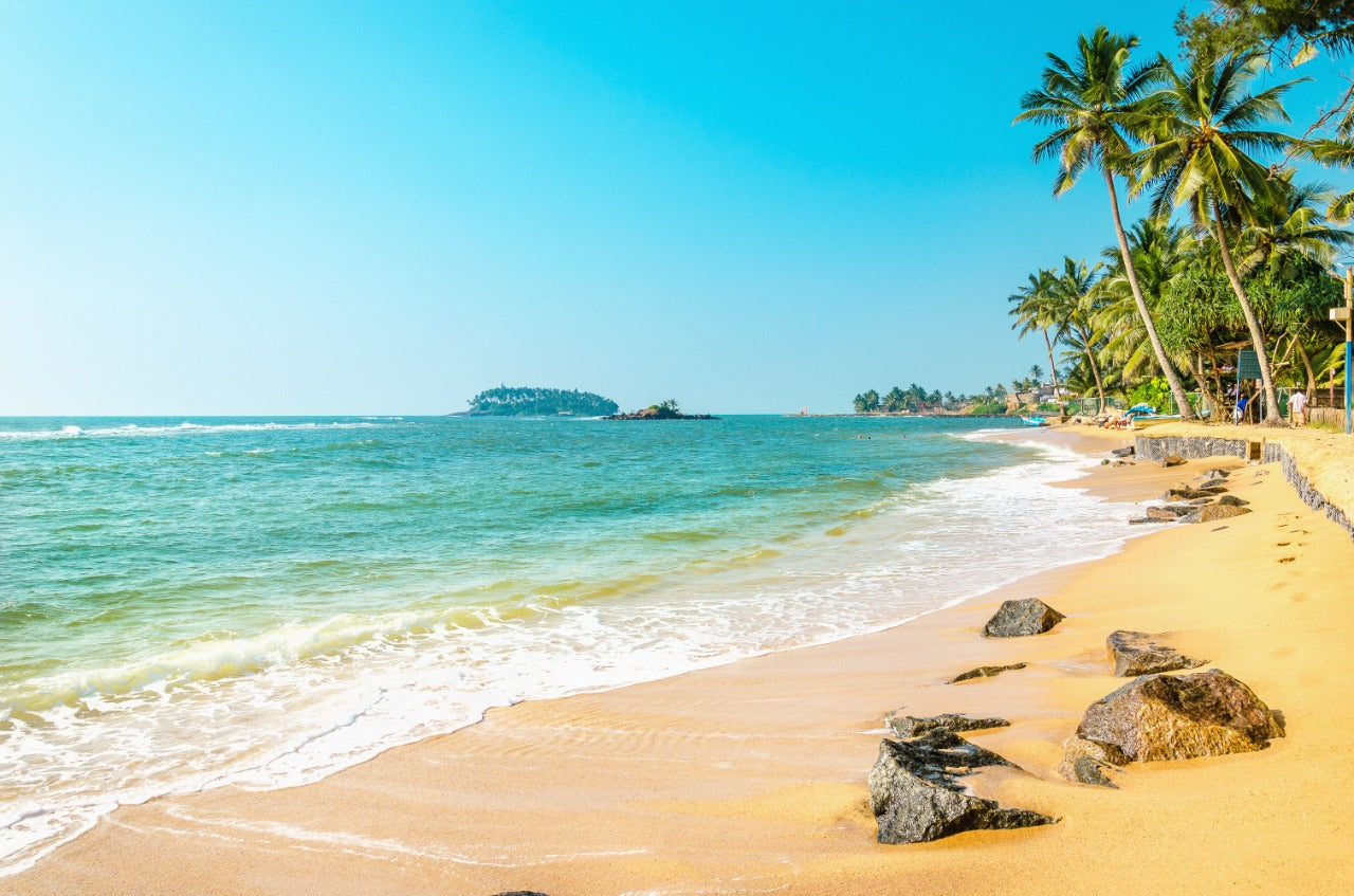 4 VIP Islands - Premium Plankton | Luxury, nature, and adventure in the heart of the Caribbean