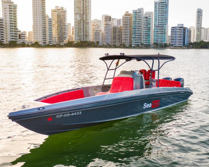 Lancha Deportiva 8 pax - 29ft SeaHub