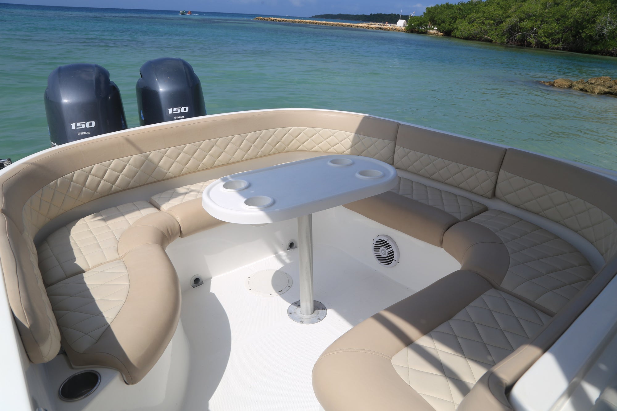 Lancha Deportiva 10 pax - 29FT