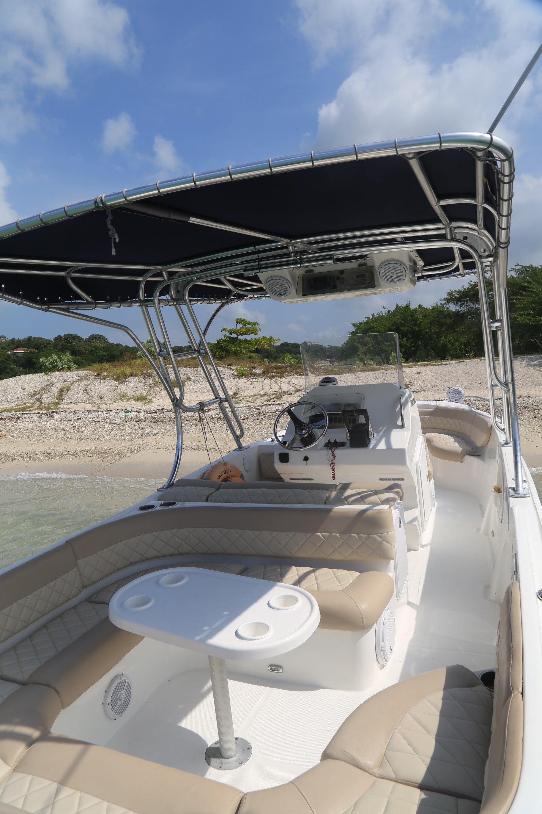 Lancha Deportiva 10 pax - 29FT