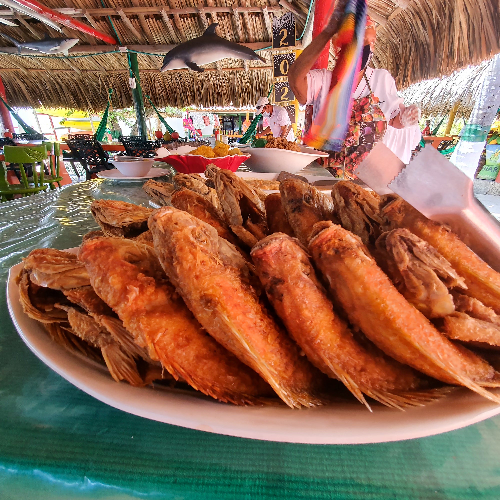 Lizamar Island - Rosario Island | Fun, nature, and Caribbean comfort by the sea