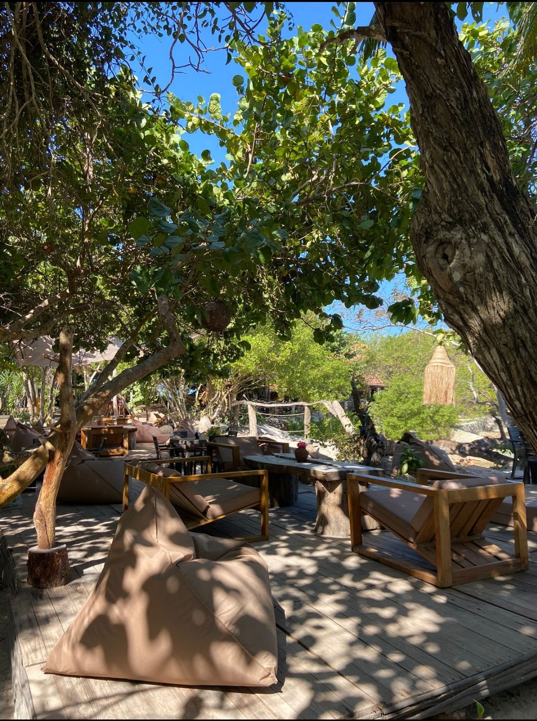 PA’UE Beach Lounge – Islas del Rosario | Lujo caribeño, naturaleza y diversión frente al mar