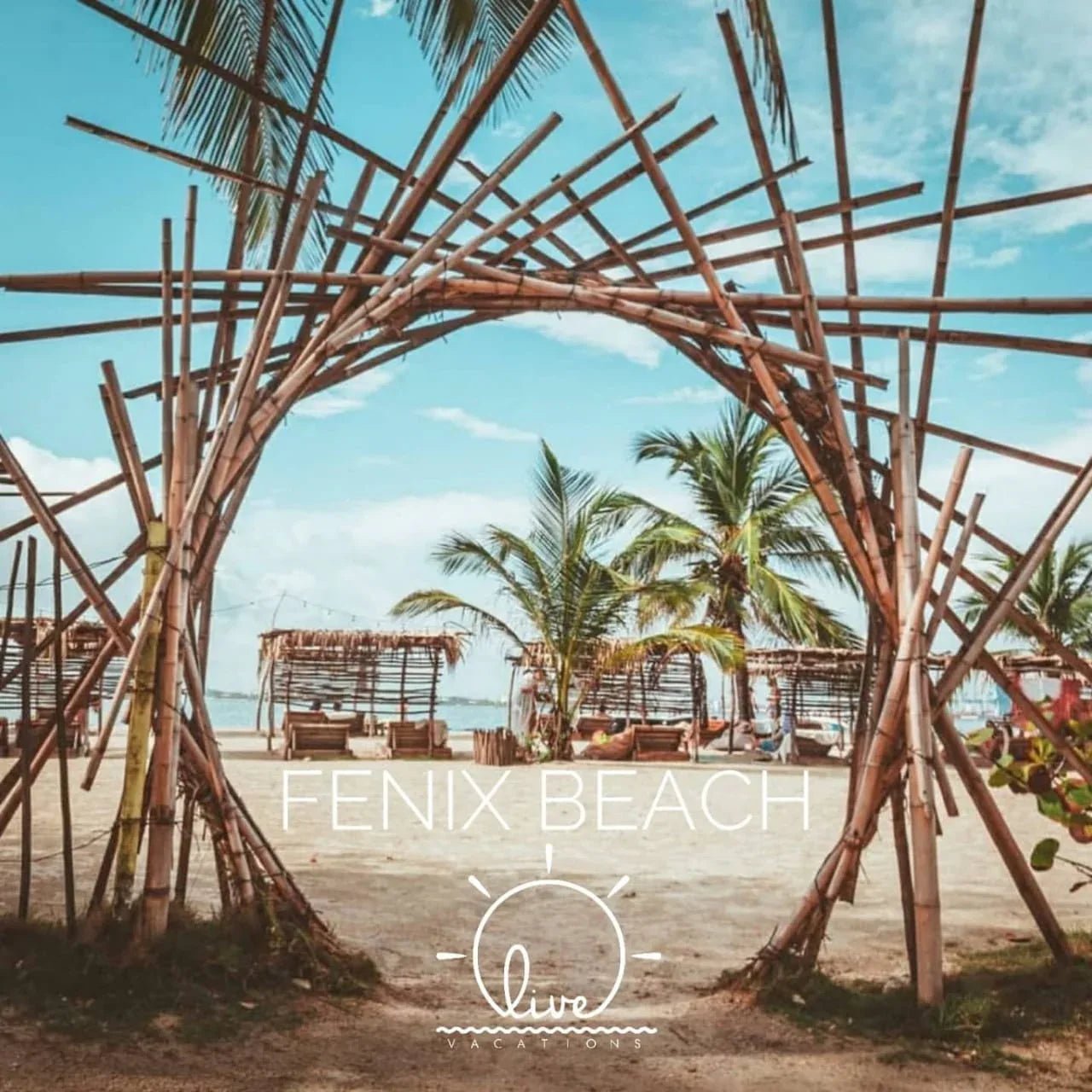 Fenix Beach - Isla de Tierra Bomba |Relájate, disfruta y desconéctate a solo 15 minutos de Cartagena - Live Vacations Tours