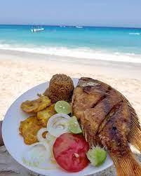 Aventura Islas del Rosario y Acuario desde Cartagena