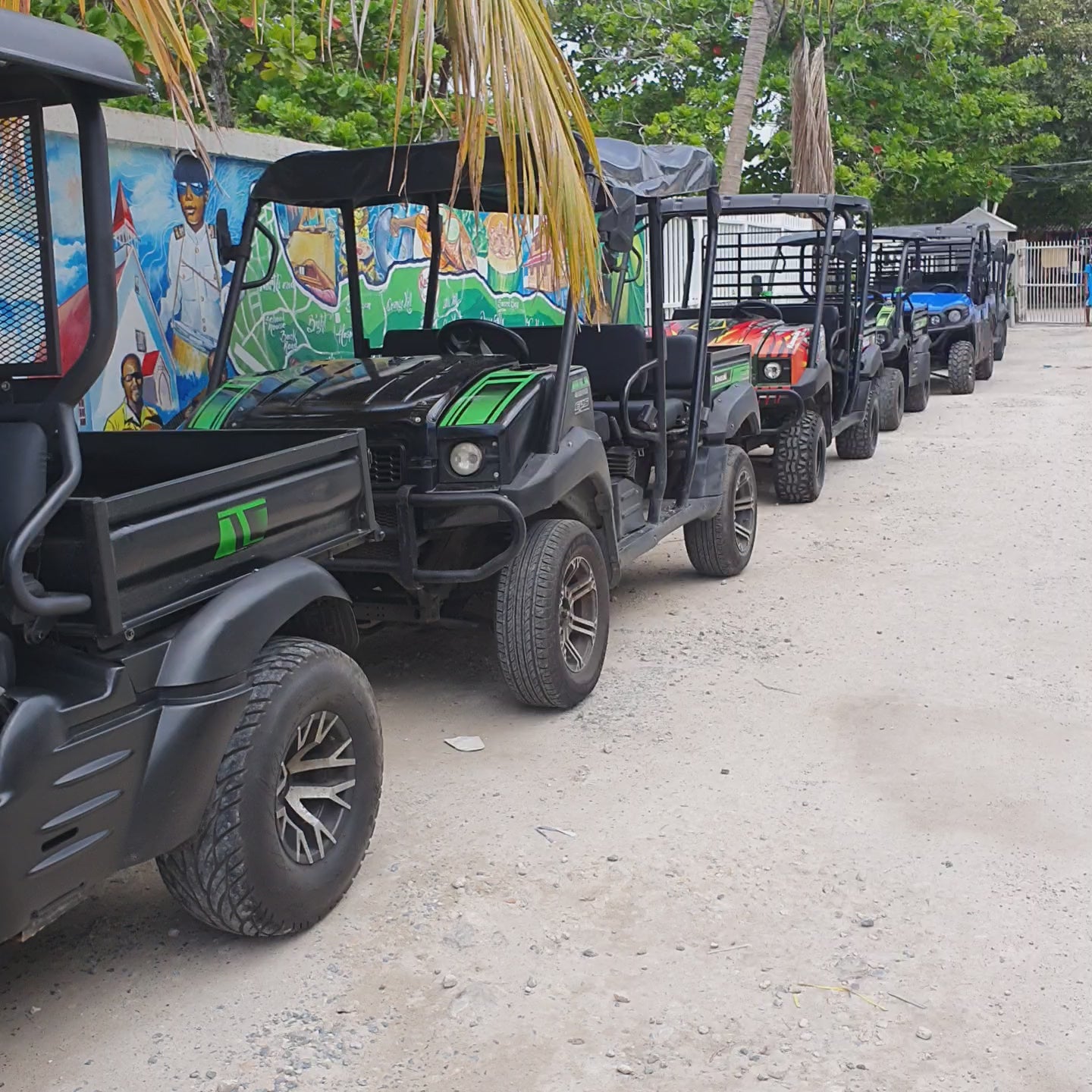 Mulita -San andres | Aventura sobre ruedas en San Andrés  Explora la isla a tu ritmo con libertad, estilo y brisa marina