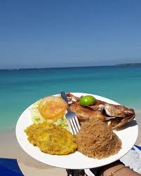 4 VIP Islands - Premium Plankton | Luxury, nature, and adventure in the heart of the Caribbean